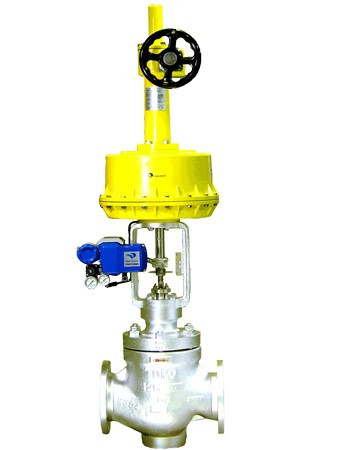 Globe Control Valve