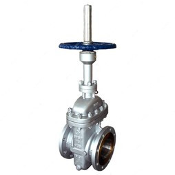 OS & Y gate valve or rising stem